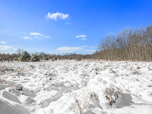 14103 S Spruce Ave, Kent City, MI 49330