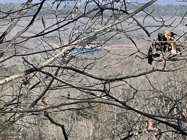 Mc 8060, Yellville, AR 72687