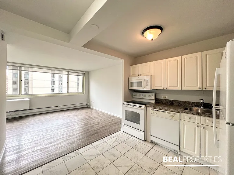 1344 N Dearborn — Photo 21