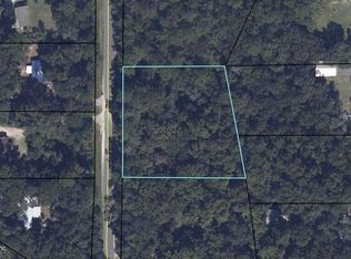 2764 INDIGO Circle, Middleburg, FL 32068