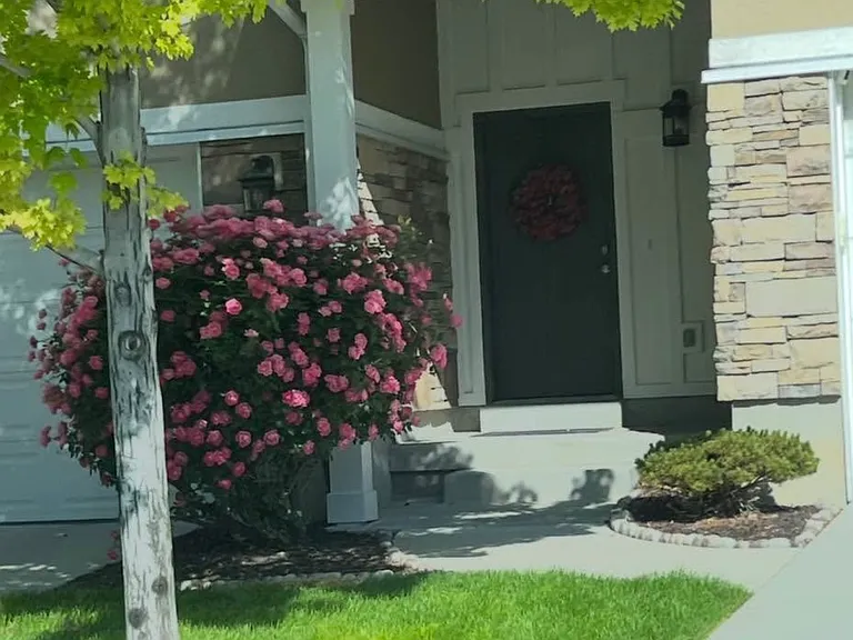 11726 S Mansonia Dr — Photo 5
