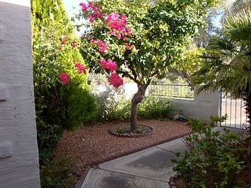 Beautiful courtyard entry
