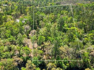 17600 Aucilla River Estates Rd, Lamont, FL 32336