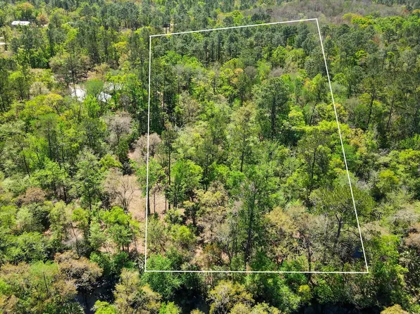 17600 Aucilla River Estates Rd, Lamont, FL 32336