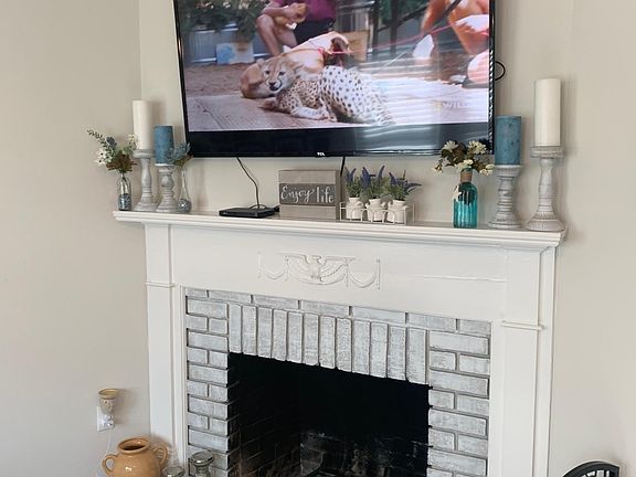 Wood Burning Fire place