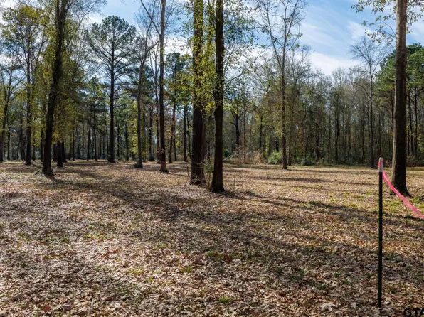 LOT 4 County Road 3545, Joaquin, TX 75954