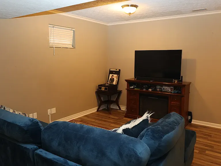 Basement living room couch
