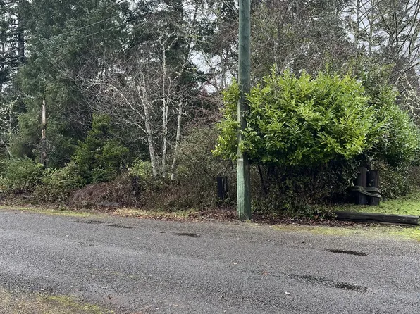 282nd St Lot 6, Ocean Park, WA 98640