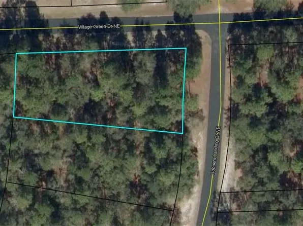 617 Coopers Landing Dr NE, Townsend, GA 31331