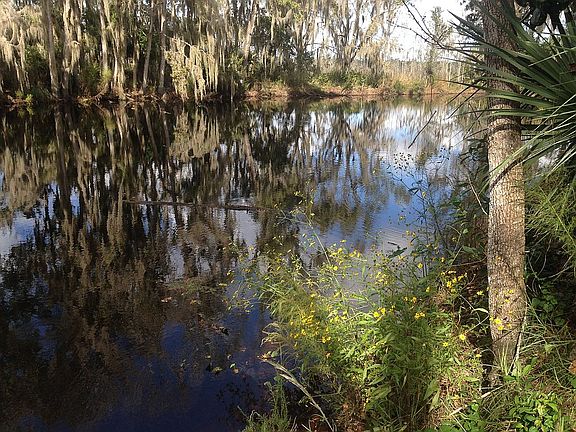 4th image of 218 Little Orange Lake Dr