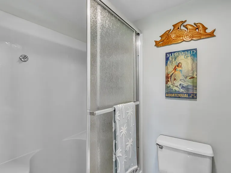 Primary walk-in shower