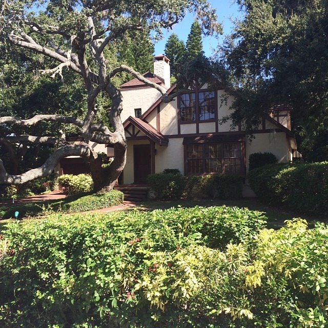 English Tudor