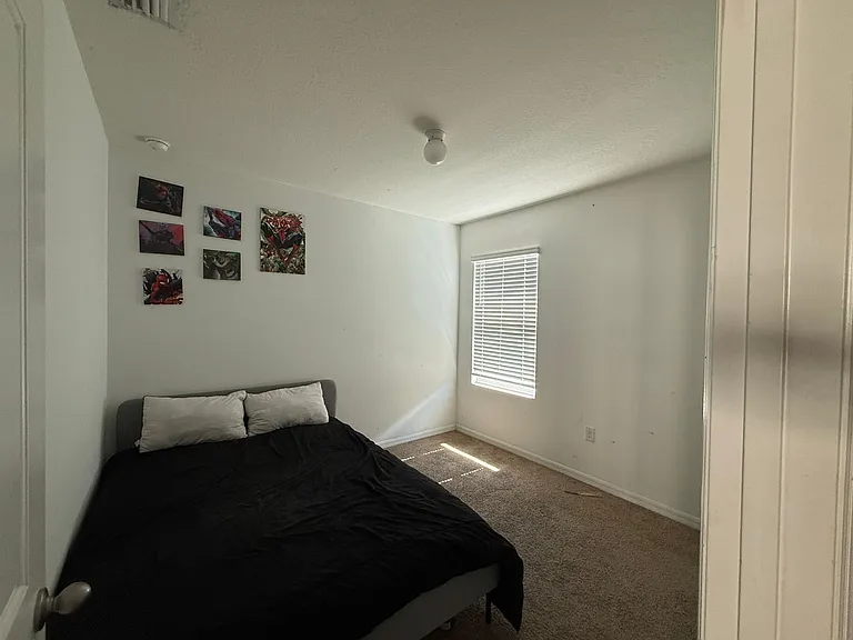 5838 Elegant Orchid Way — Photo 23