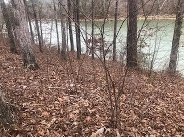 LOT 39 Shoreside Dr, Double Springs, AL 35553