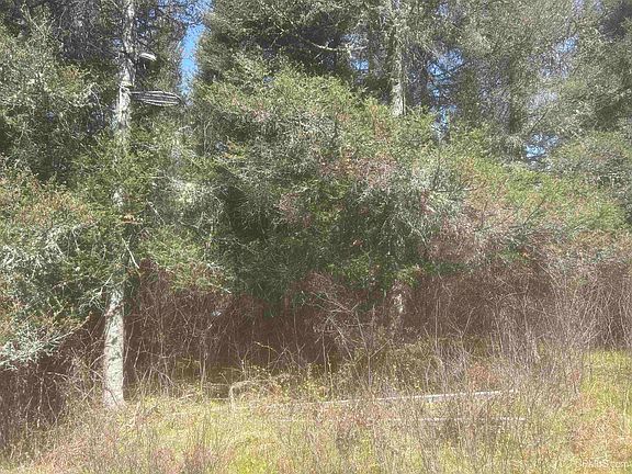 5th image of Goodhall Rd