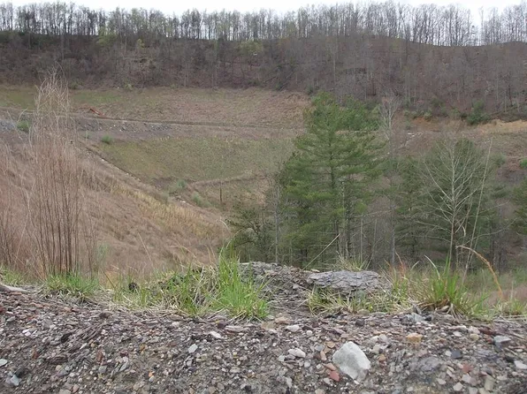 0 Trace Frk, Gunlock, KY 41632