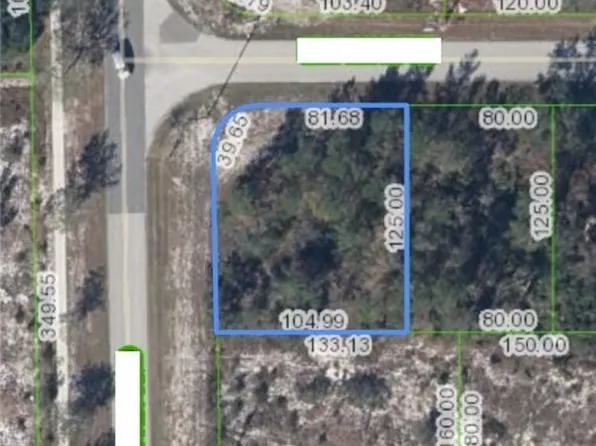 101 Lincoln Rd NE, Lake Placid, FL 33852