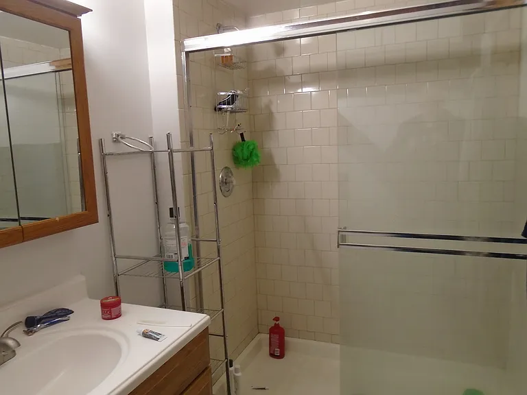 443 W Eugenie St #3E — Photo 10