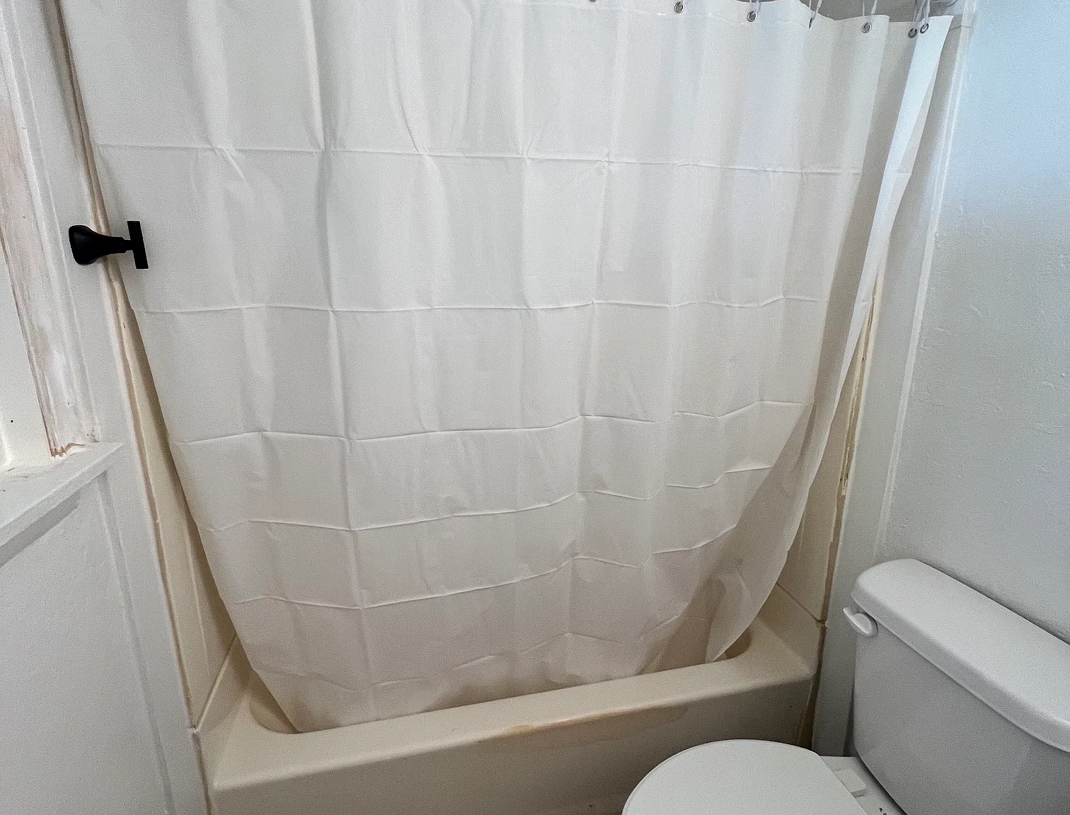 1 bed, 600 sqft, $850 — Photo 3