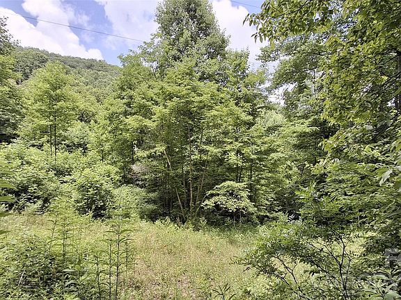 2nd image of 0 Dry Creek Rd