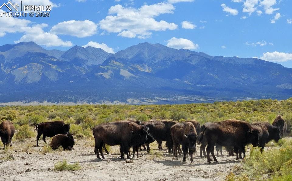 1st image of 6150 Tim Rd