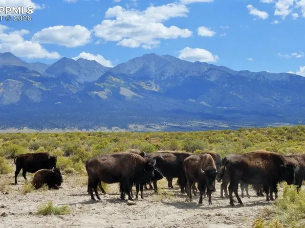 6150 Tim Rd, San Luis, CO 81152