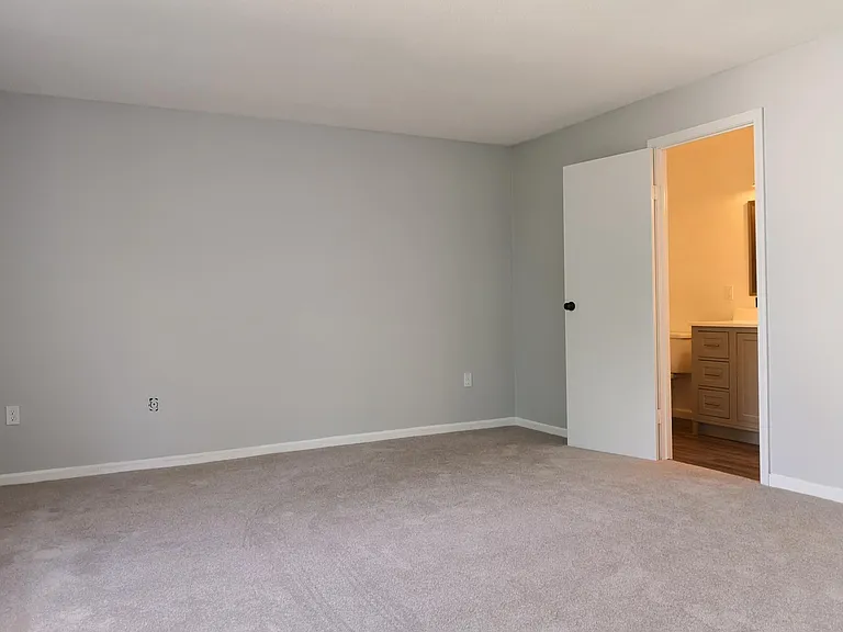 Master suite with new carpets and plenty of closet space