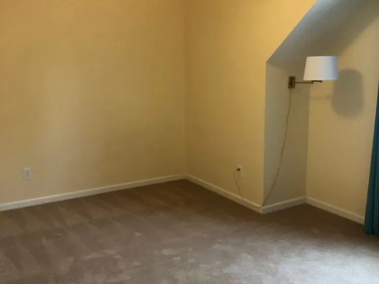 12 Jade Tree Ct — Photo 13