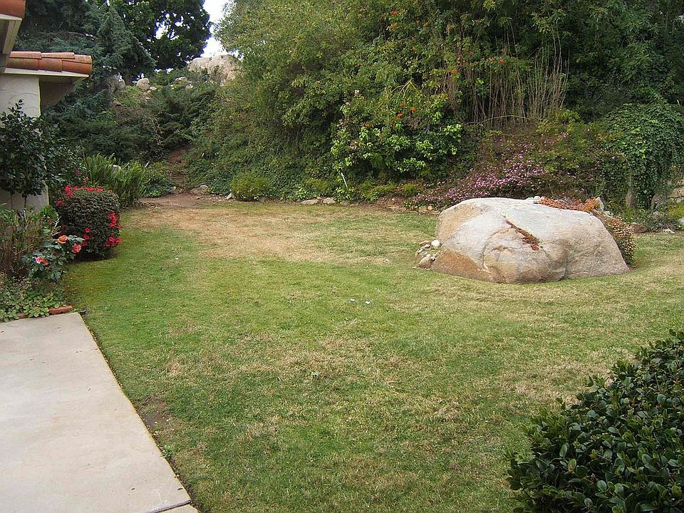 Front yard