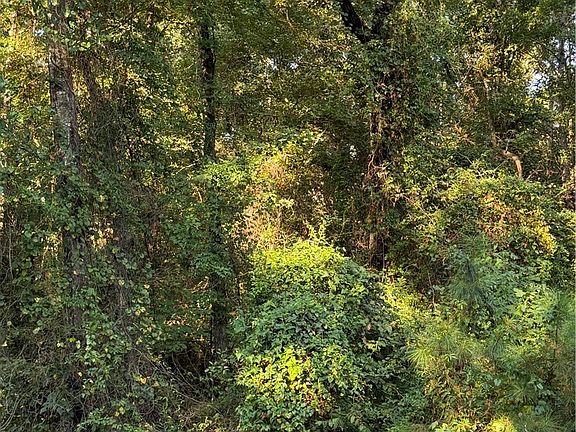 2nd image of 2530 County Road 45