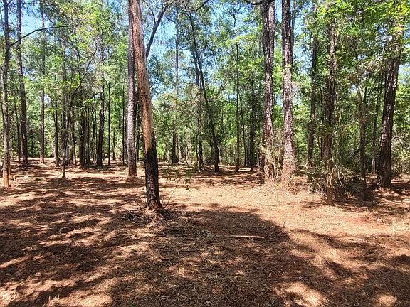 5th image of 0 Blountstown Hwy