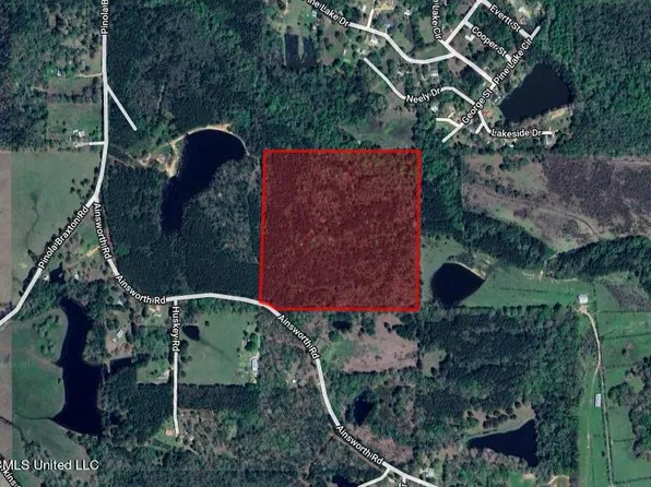 Pinola Braxton Rd Lot 6, Braxton, MS 39044