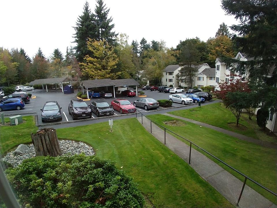 view from the house