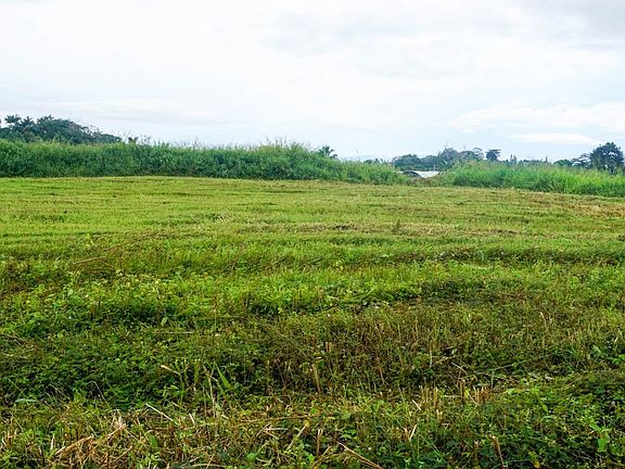 3rd image of Kupu Pl Lot 26