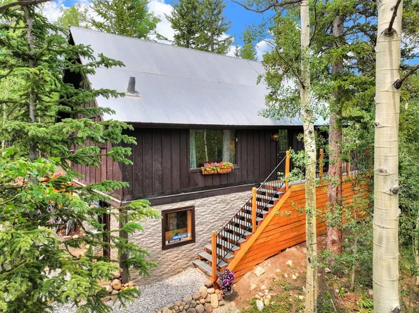 227 Roberts Road, Alma, CO 80420