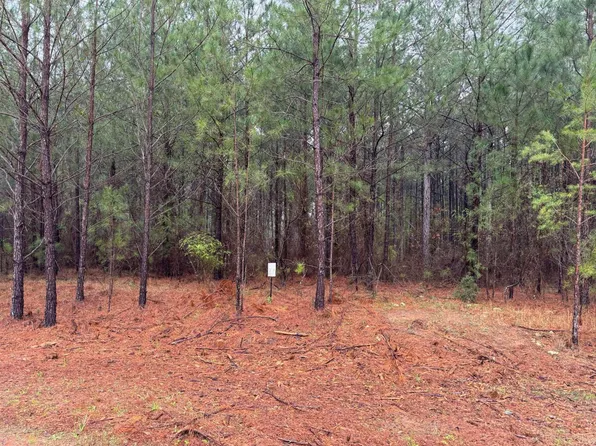 1060 Longleaf Way, Lincolnton, GA