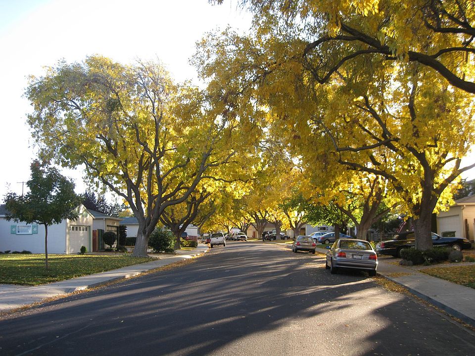 1st image of 3471 Flora Vista Ave