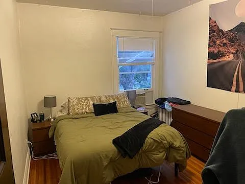 Bedroom, back window