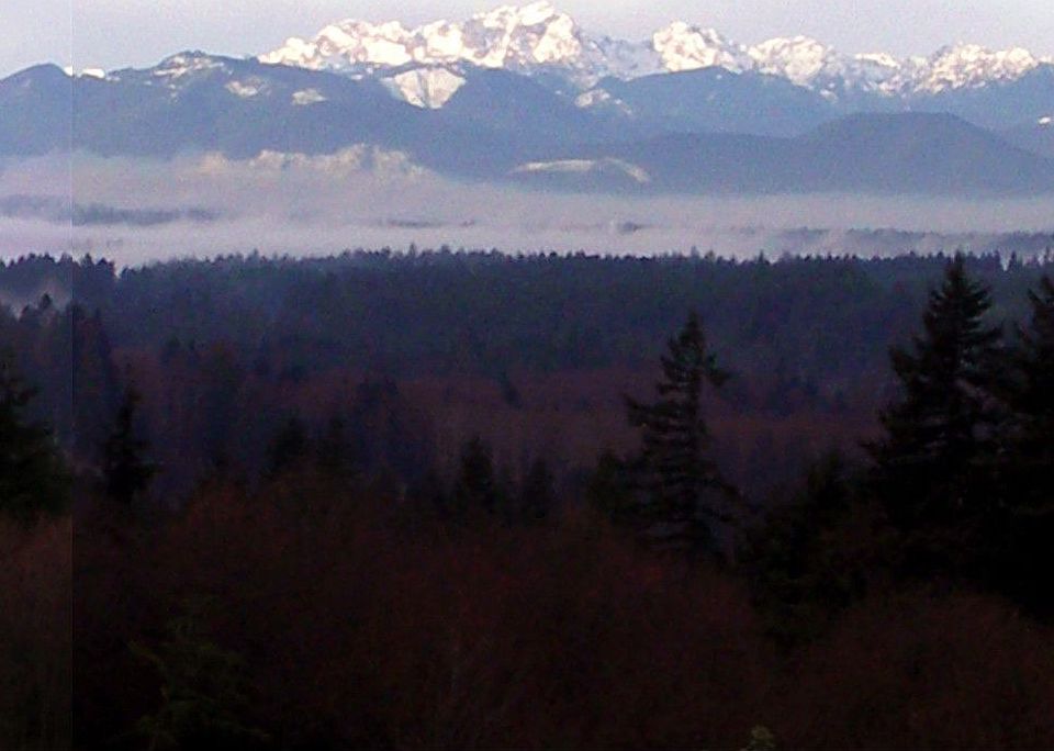 panoramic view of olympic mountains