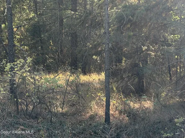 Nna Gray Eagle Lot 2, Rathdrum, ID 83858