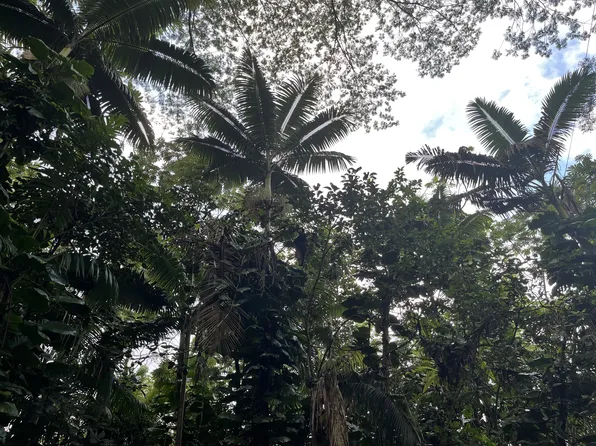 Church Cir Lot 798, Pahoa, HI 96778
