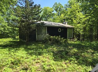 294 W Ingerman Dr, Luther, MI 49656