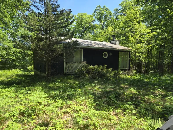 294 W Ingerman Dr, Luther, MI 49656