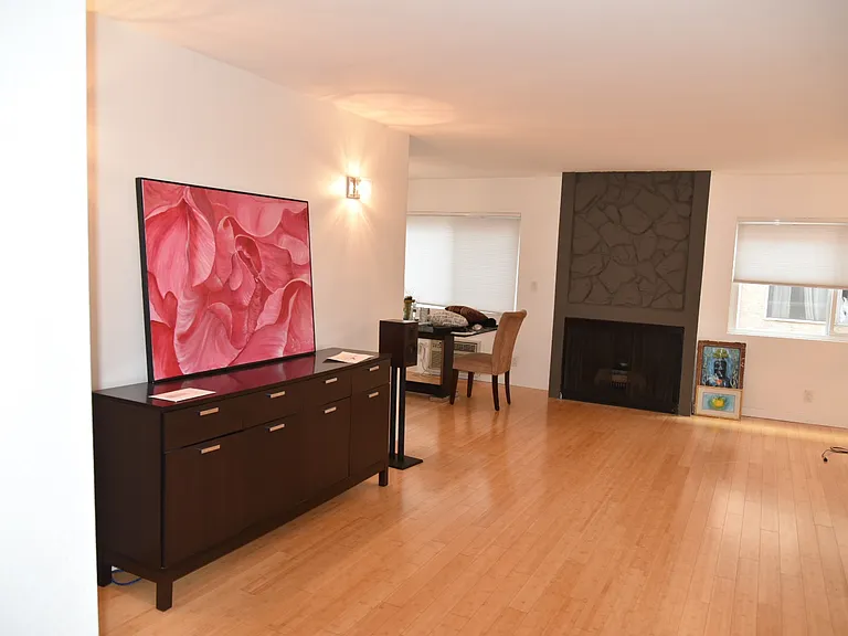Large living room
