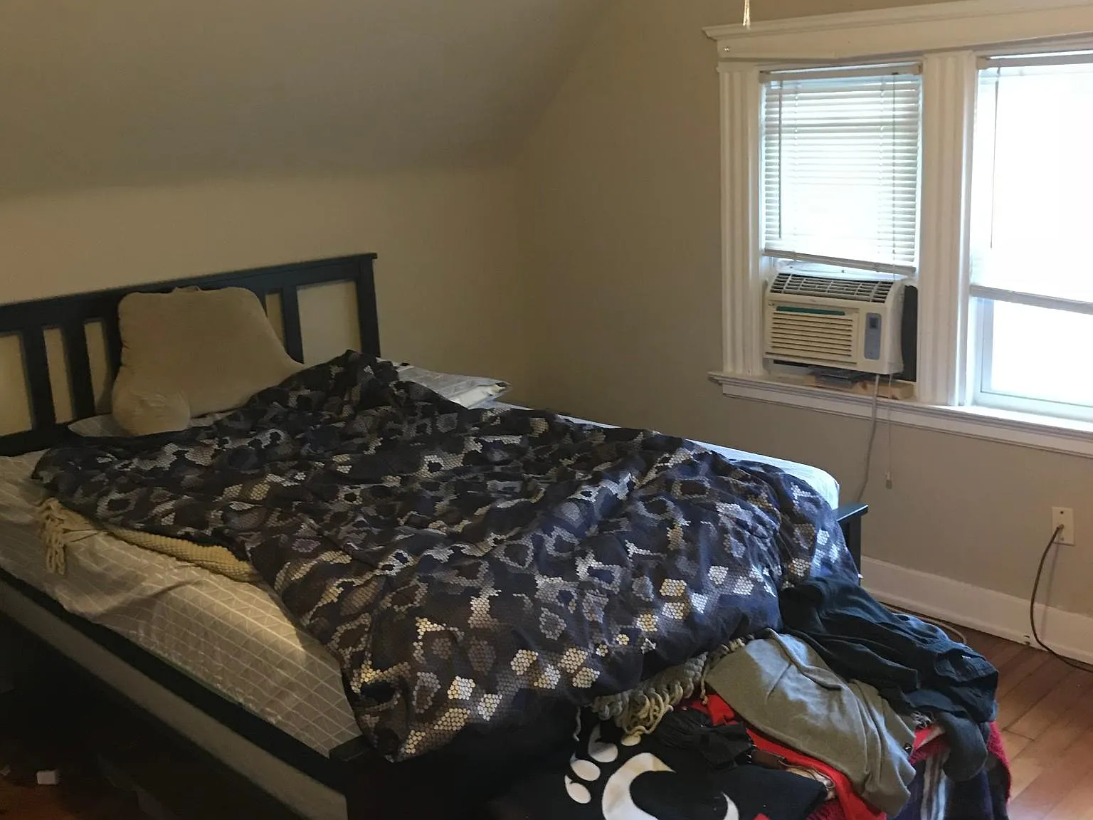 1 bed, $900 — Photo 4