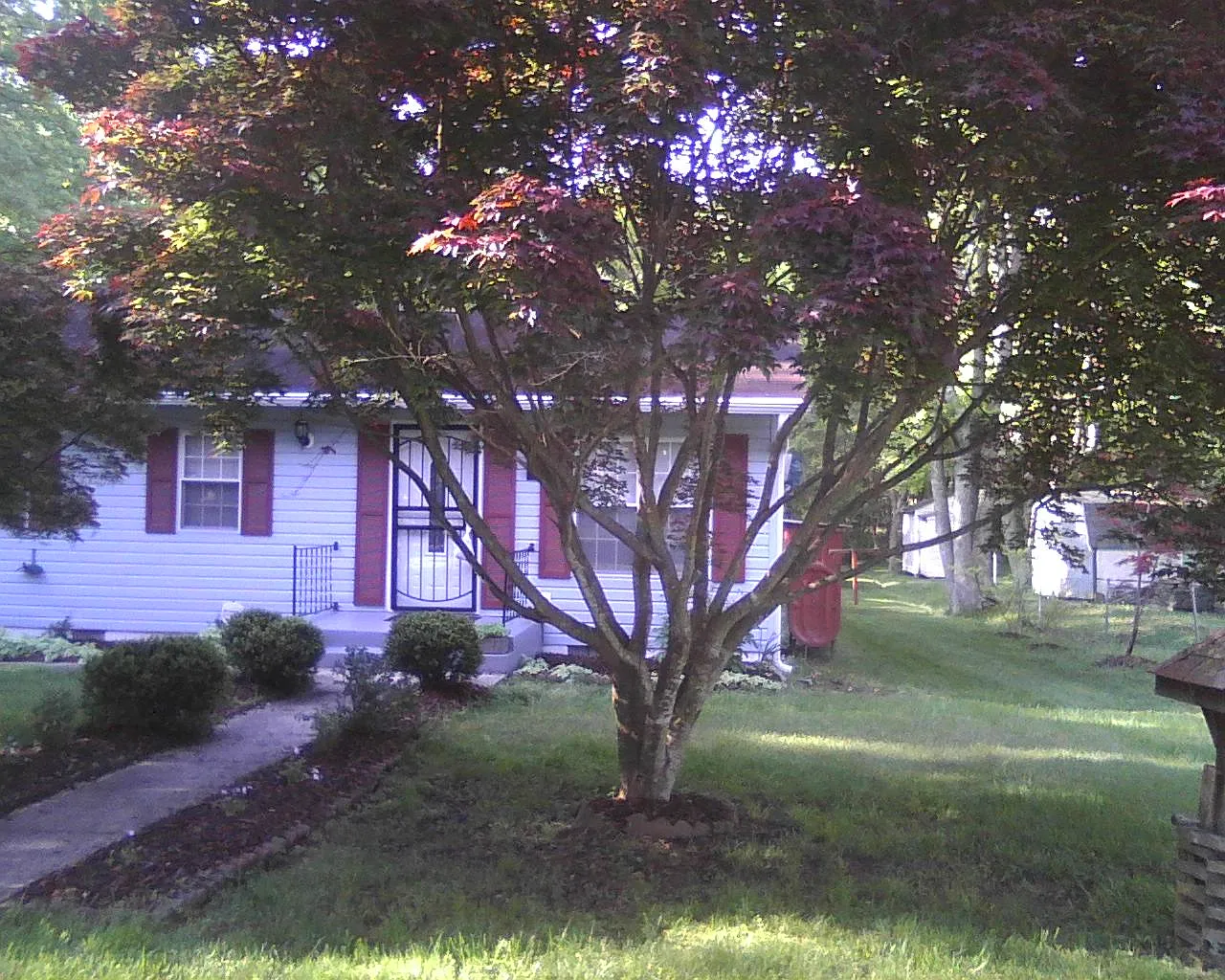 36005 Roosevelt Blvd photo 1