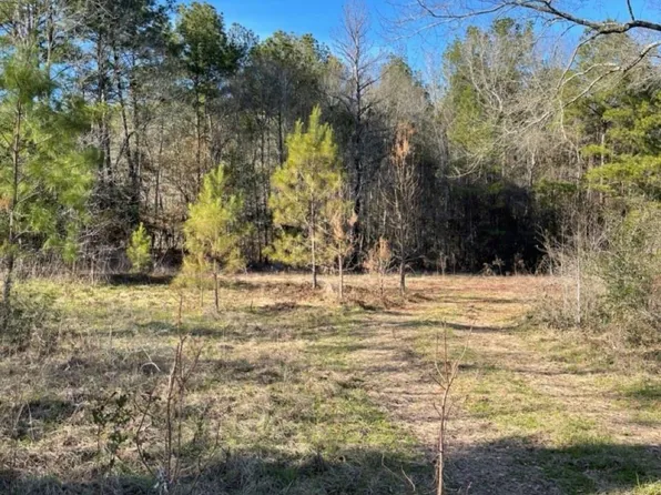 Tbd Meekins Rd, Cleveland, TX 77328