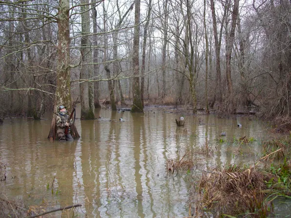 4891 Estanaula Rd, Brownsville, TN 38012