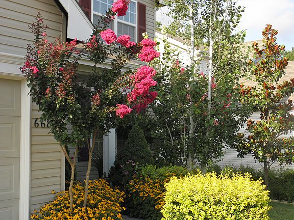 Walkway to Front Door