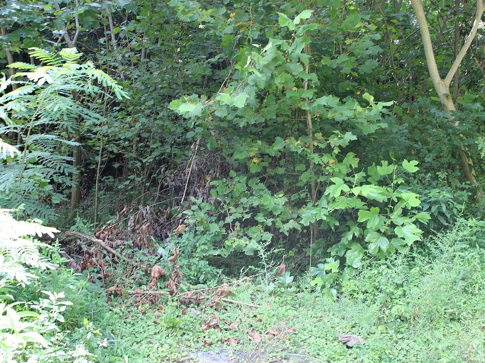 2nd image of 262264 Loop Rd